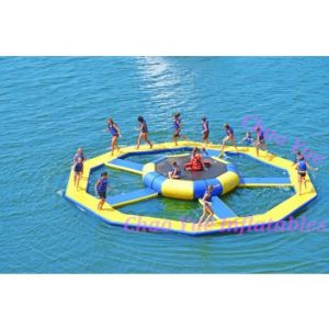 China Inflatable Water Park Equipment, Inflatable Water Trampoline/Bouncer (CY-M2092) on sale