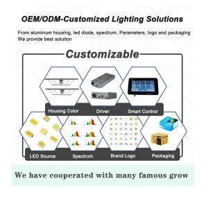 Plant 5x5 Broad Spectrum LED Grow Lights Warm White 720W 2.9μmol/J