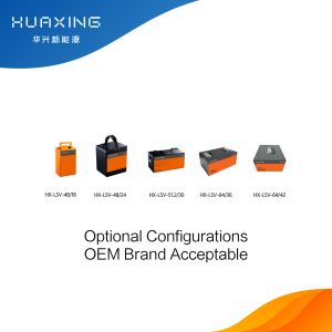 48V 35ah Electric Vehicles Lithium Iron Battery For Three Wheeler Rechargeable