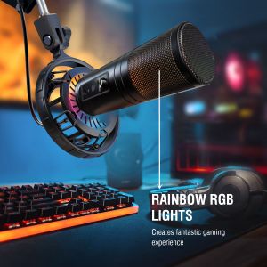 OEM USB2.0 Desktop Computer And Studio Condenser Microphone