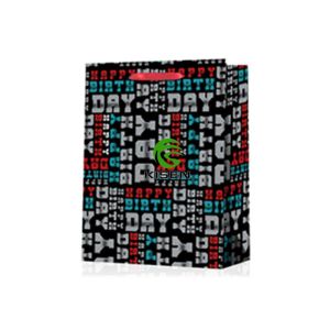 Laminated Retail Paper Shopping Bags For Gift Multi Colors Environment Friendly