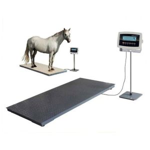 Precise Livestock Cattle Weighing Scale with Indexing Value 0.5/1/2/5Kg and Customized Support