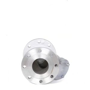 API 304 Stainless Steel Y-Type Filter with Flanged End Customized and OEM