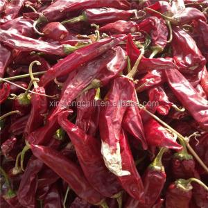 China Flavor-Packed Yidu Chili 7-15cm Length From Quality Chili on sale