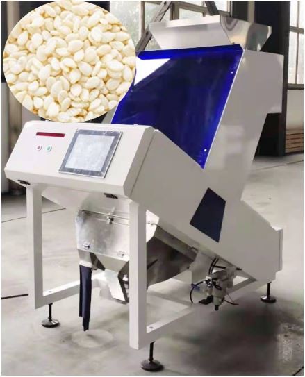 Quality 1 Chute Sesame Seeds sorter Machine White 0.3-0.5 T/H Agricultural Sorting Equipment wholesale