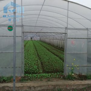 Hydroponic System Tunnel Plastic Greenhouse with Ventilation Insect Net