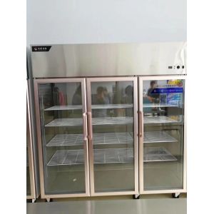 Six Door Glass Door Display Freezer Automatic Defrosting And Defogging