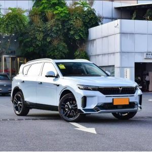 2023 2024 Lantu Dongfeng Voyah Free Electric Car High Speed Hybrid EV SUV