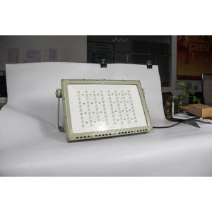 Explosion Proof LED Road Light 250W | ATEX CNEX Certified for Zone 1 Zone 2