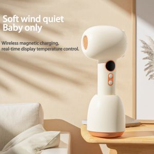 Advanced Technology Cordless Hair Dryer With Type-C Charging Port And Long