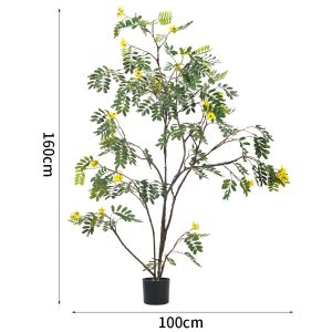 Real Stem Artificial Landscape Trees Piptanthus 160cm No Nursing Evergreen 20''
