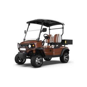 All-Terrain Electric Golf Cart  Style, Durability, And Performance Available In Multiple Elegant Colors