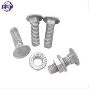 Extra Long Large Big Head SS 304 316 Stainless Steel DIN603 Coach Carriage Bolts