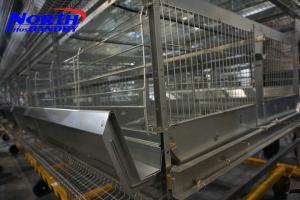 China 80 dollars stock free sample free courier poultry layer chicken cage for sale on sale
