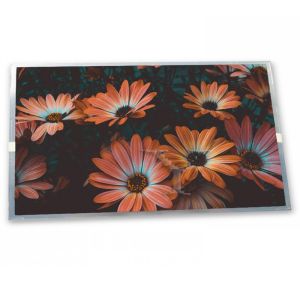 Cheap LS035Y8DX02A LCD Modules 3.5-Inch WLED LCD Display Module Custom ODM 480*800 Resolution for sale