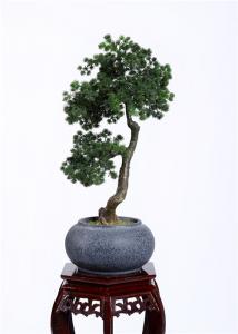 China Non Toxic 60cm Plastic Bonsai Tree , Authentic Bonsai Tree Easy Care Elegant Charming on sale