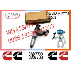 Diesel Fuel Injector N14 Common rail injector 3087560 3411752 3411765 3411765