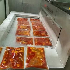 Meatfish Seafood Blast Chiller Shock Mesh Belt Tunnel Freezer Iqf 2200kg/H