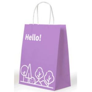 Embossed Printing Paper Bag 250gsm Printed Paper Carrier Bags
