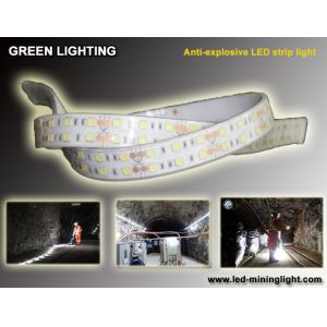 Anti explsoive 1500 lum Flexible LED Strip Waterproof 60pcs led each meter