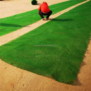 10mm Thickness EM2 Turf Reinforcement/Grass Protection Geomat for Contemporary