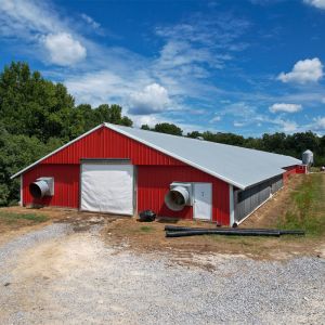 Q235B Q355B Steel Structure Chicken House , Economical Prefab Steel Structure