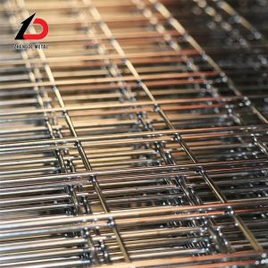 Hot Galvanized Welded Wire Mesh China 800 mm - 1600 mm Width 6 X 6 Welded Wire