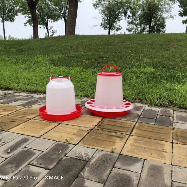 Quality Freestanding Plastic Poultry Feeder 1L-12L Clean Dry wholesale