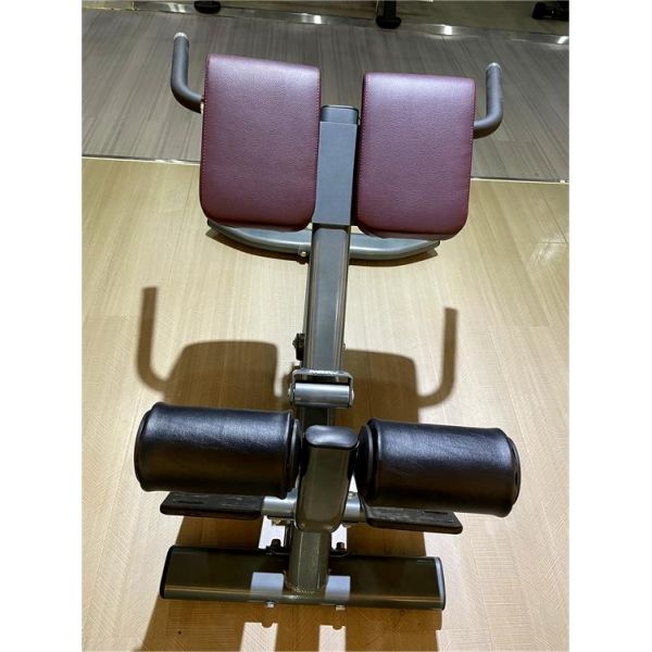 Hot Selling Gym Fitness Exeserces 45 Degree Back Extension Machine Roman Chair