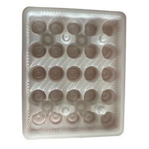 PP Tray Packaging Pastry Packaging Tray Customization Size