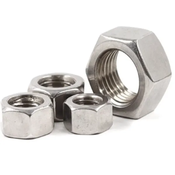 Stainless Steel Lock/Nylon Nut 304 Nut