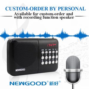 SD card plug in NEWGOOD digital radio music player speaker