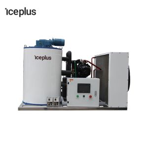 CE Standard Ice Flake Maker Machine Refreshing Vegetable Fruit Foodstuff In