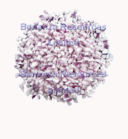 Quality Sell Freeze Dried Shallots Instant Vegetables wholesale