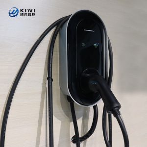 Cheap Plug Temperature Detection 11KW 16A Household Charging Station for VW Atlas and Tiguan for sale