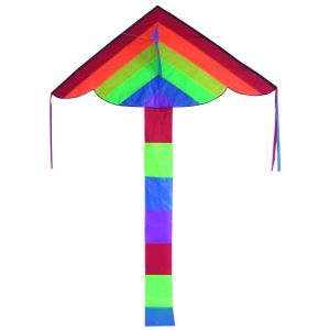 Cheap Single Line Delta Wing Kite Easy Assembled With 30m String Line Beginner use for sale