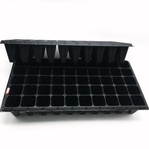 high quality forest seedling tray