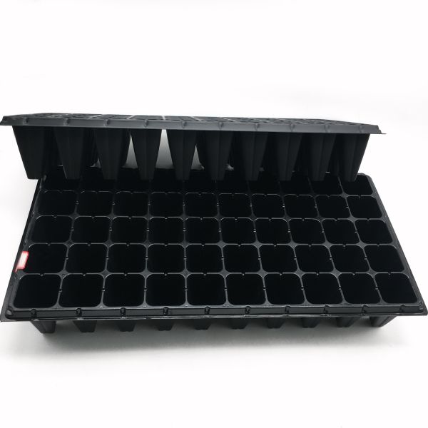 Quality high quality forest seedling tray wholesale