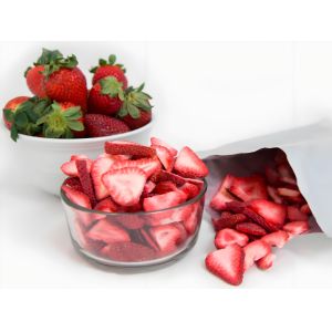 Freeze Dry Cycle 24-30 Hours Medium Size Home Freeze Dryer with Intelligient