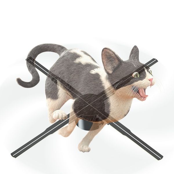 5mm Pixel Pitch 3D Hologram Projector for Human Hologram Projection using SD