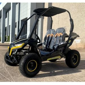 200cc Mini Go Kart Buggy Fully Automatic With Reverse