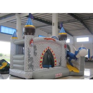 China Digital Printing Dragon Large Bouncy Castle , Waterproof Princess Jumping Castle on sale