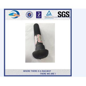 High Strength Galvanised Bolt And Nut / Rail Bolt With Black Anodize