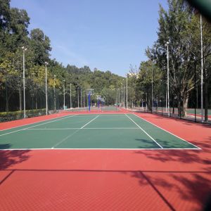 Multi Pattern Breathable Polyurethane Sports Flooring Harmless