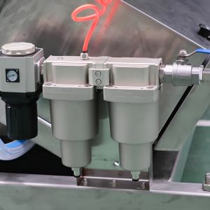 Optical Color Sorter for Peanuts Almonds Walnuts Intelligent Color Sorting