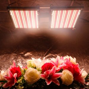 China 2024 Full Spectrum sf 4000 LM301B LM301H 660nm UV IR DIY Board LED Grow Light Kit on sale
