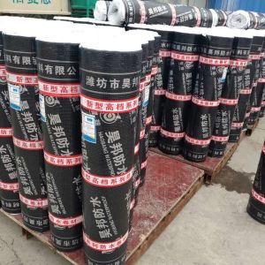 Polymer-Enhanced SBS Bituminous Waterproofing Engineered For Reliable Leakage