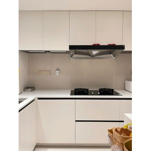 Anti-Scratch Lacquered Hygienic Particle Board Kitchen Cabinet