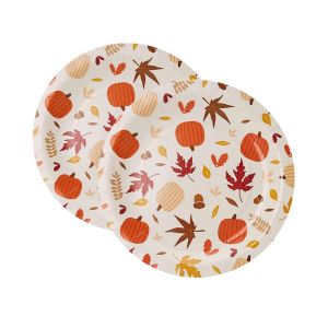 100 Compostable Plates And Cutlery