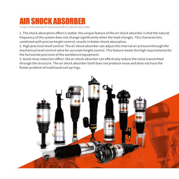DPATP Brand 4F0616031F Rear Complete Suspension Shock Absorber with Ads For Audi A6C6/S6